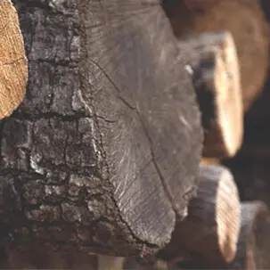 kiln dried logs leeds